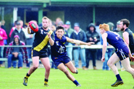 Photos courtesy - Craig Wilson, The Ararat Advocate 