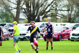 Photos courtesy - Craig Wilson, The Ararat Advocate 