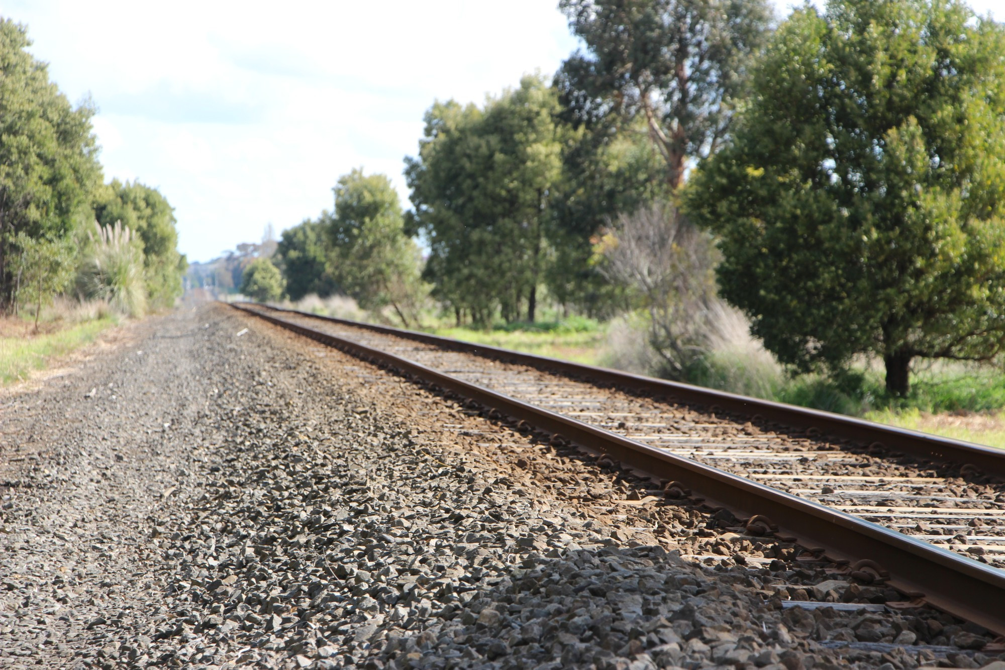 Performance result: V/Line achieved a strong result during August with all services running on the Warrnambool line, and experienced only eight services delayed during the month.