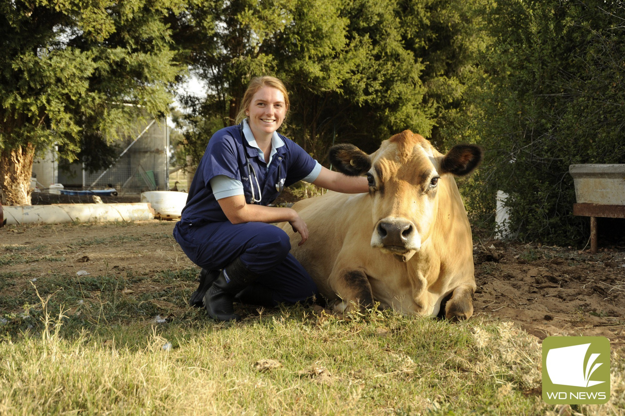 Knowledge abroad: Dixie farmer Lucy Collins, a Nuffield Scholar, has reflected on the whirlwind travels the scholarship provided her in pursuit of innovating new animal welfare practices in the dairy industry.