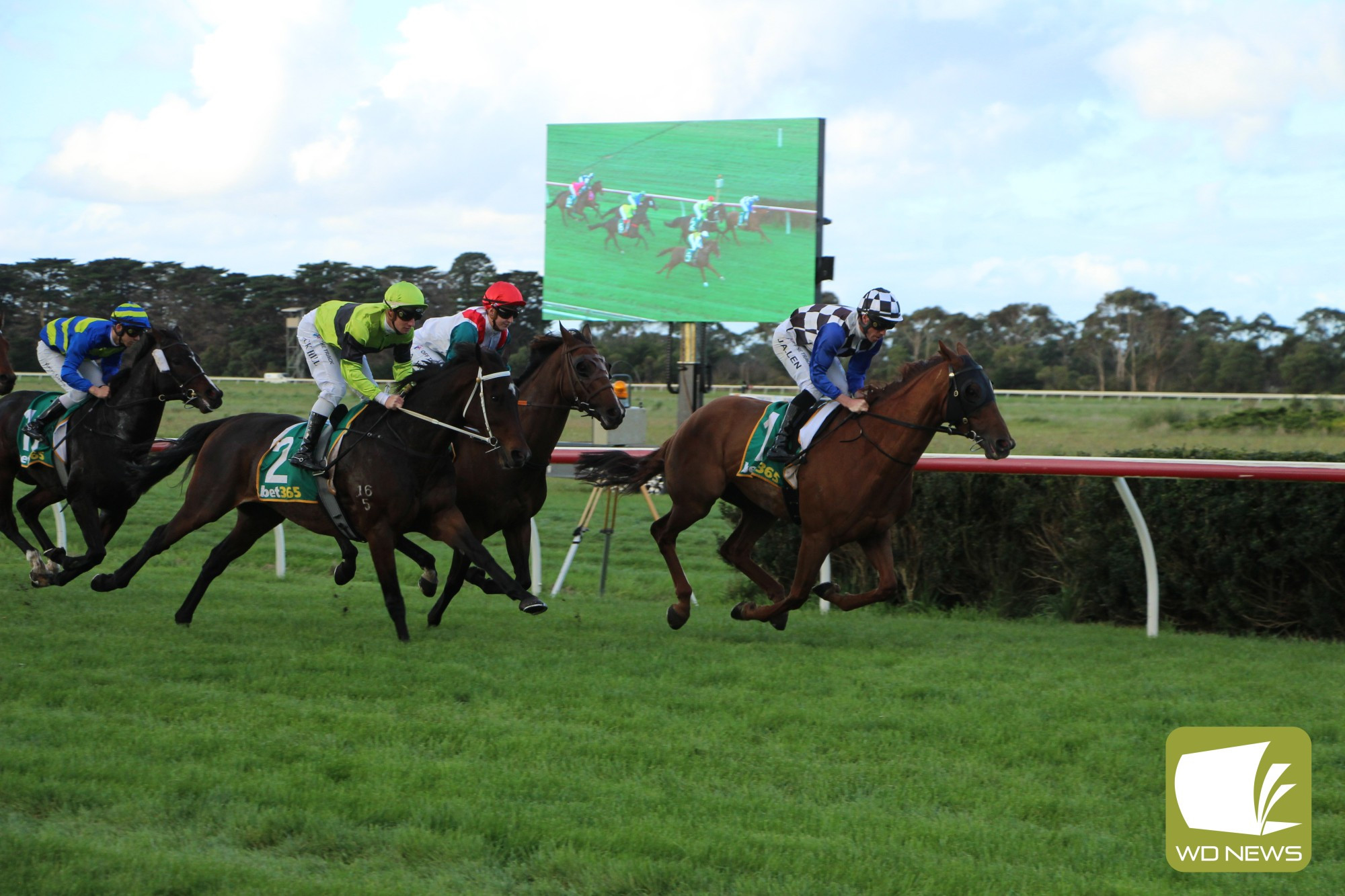 Not Usual Glorious gets out to an early lead which was never surrendered to claim the 2023 Sungold Milk Terang Cup.
