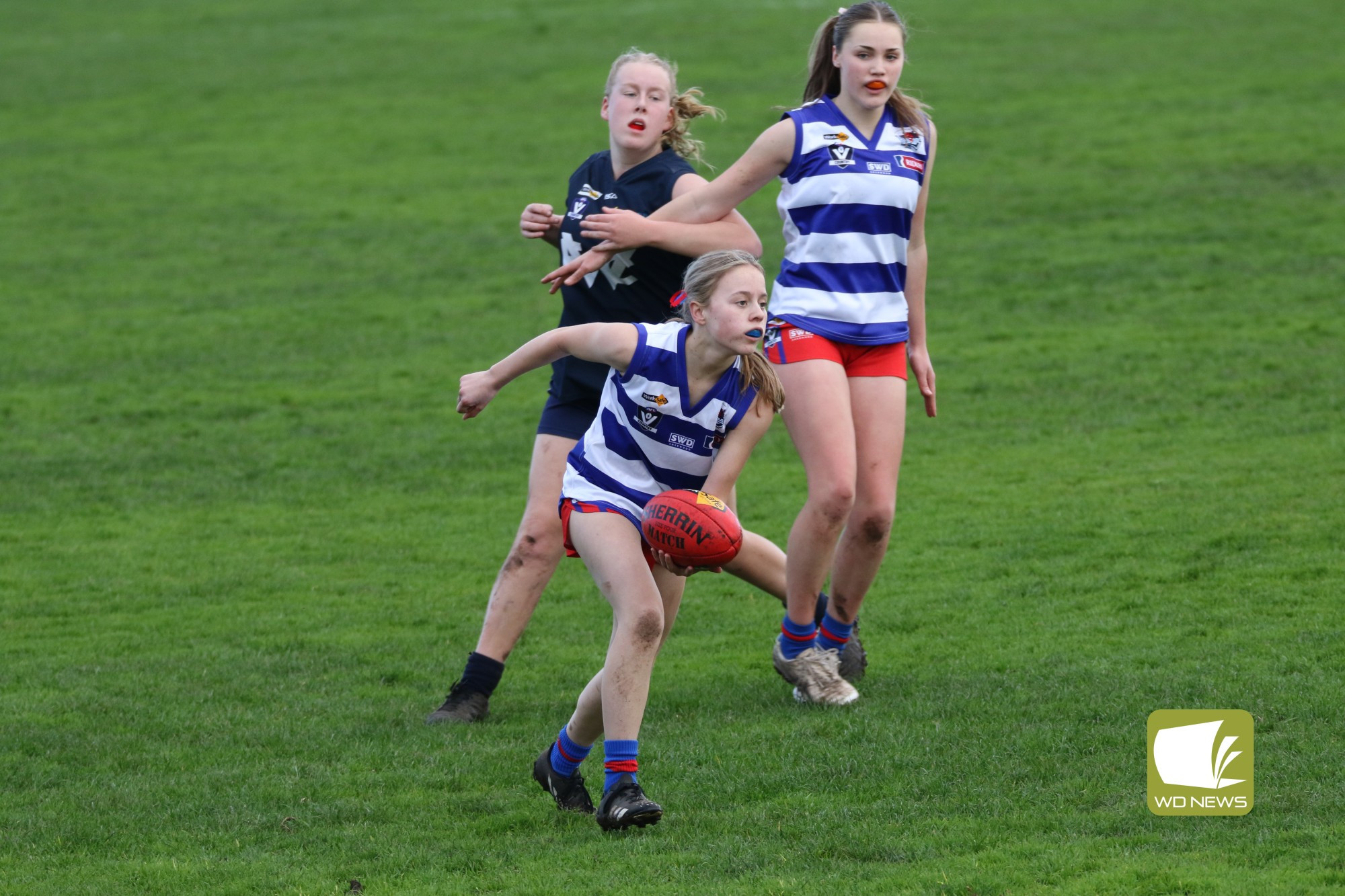 Warrnambool V Terang Mortlake - feature photo