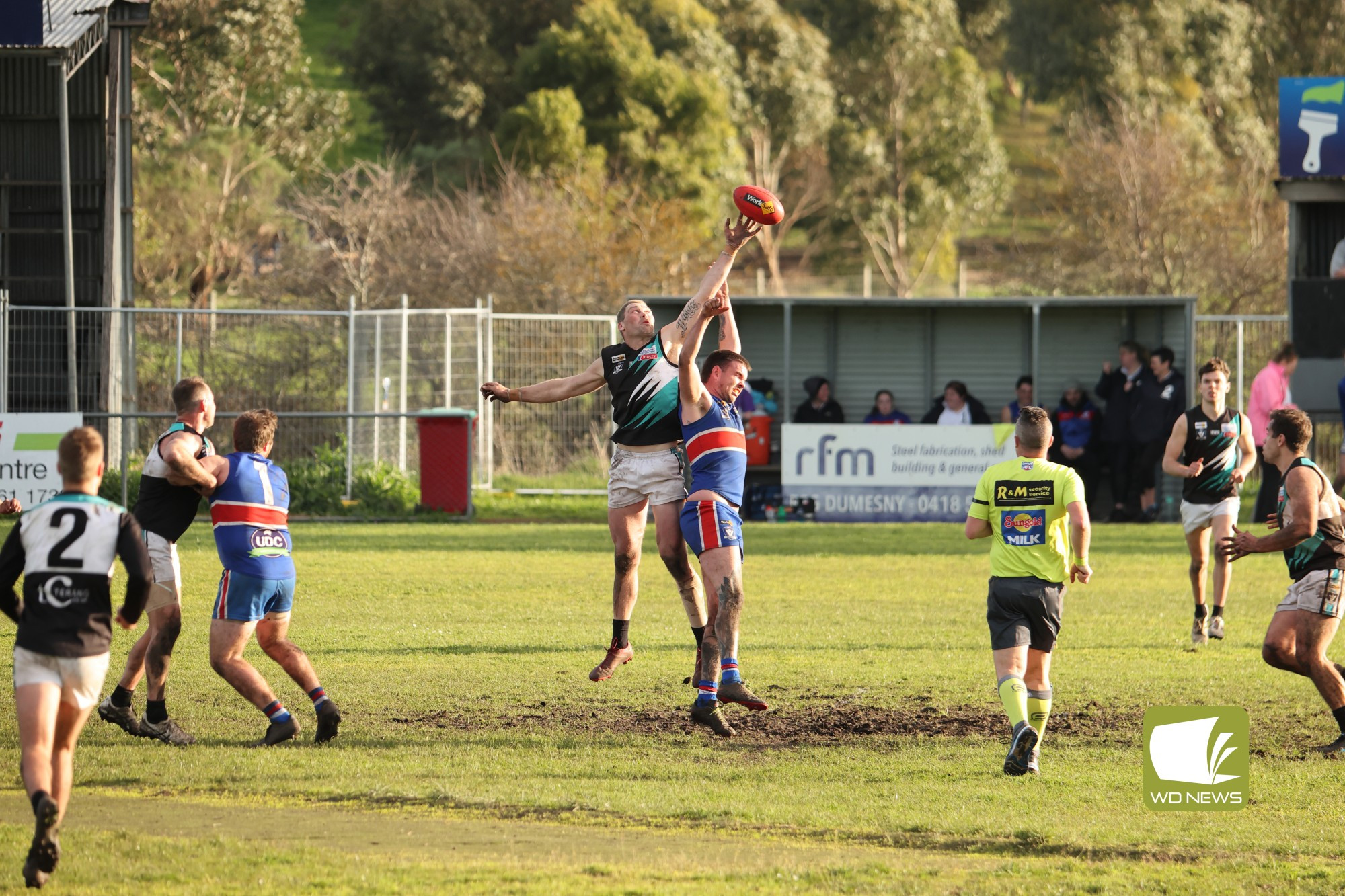Panmure too strong for Power - feature photo