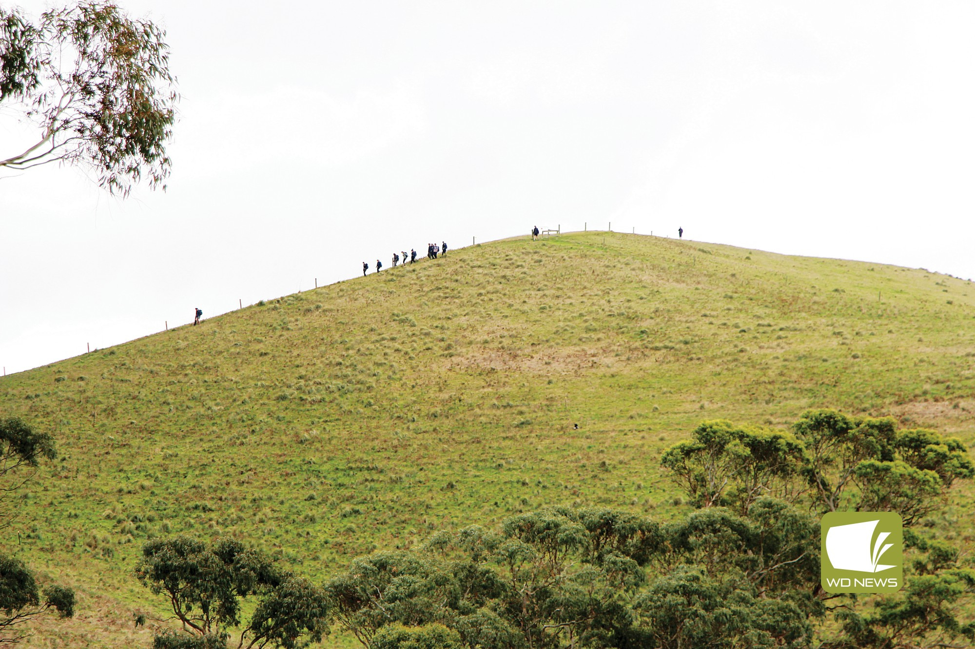 Iconic silhouette: The Mt Noorat Management Committee’s annual report has revealed visitation has increased to the popular landmark, which continues to attract income as new projects near completion.