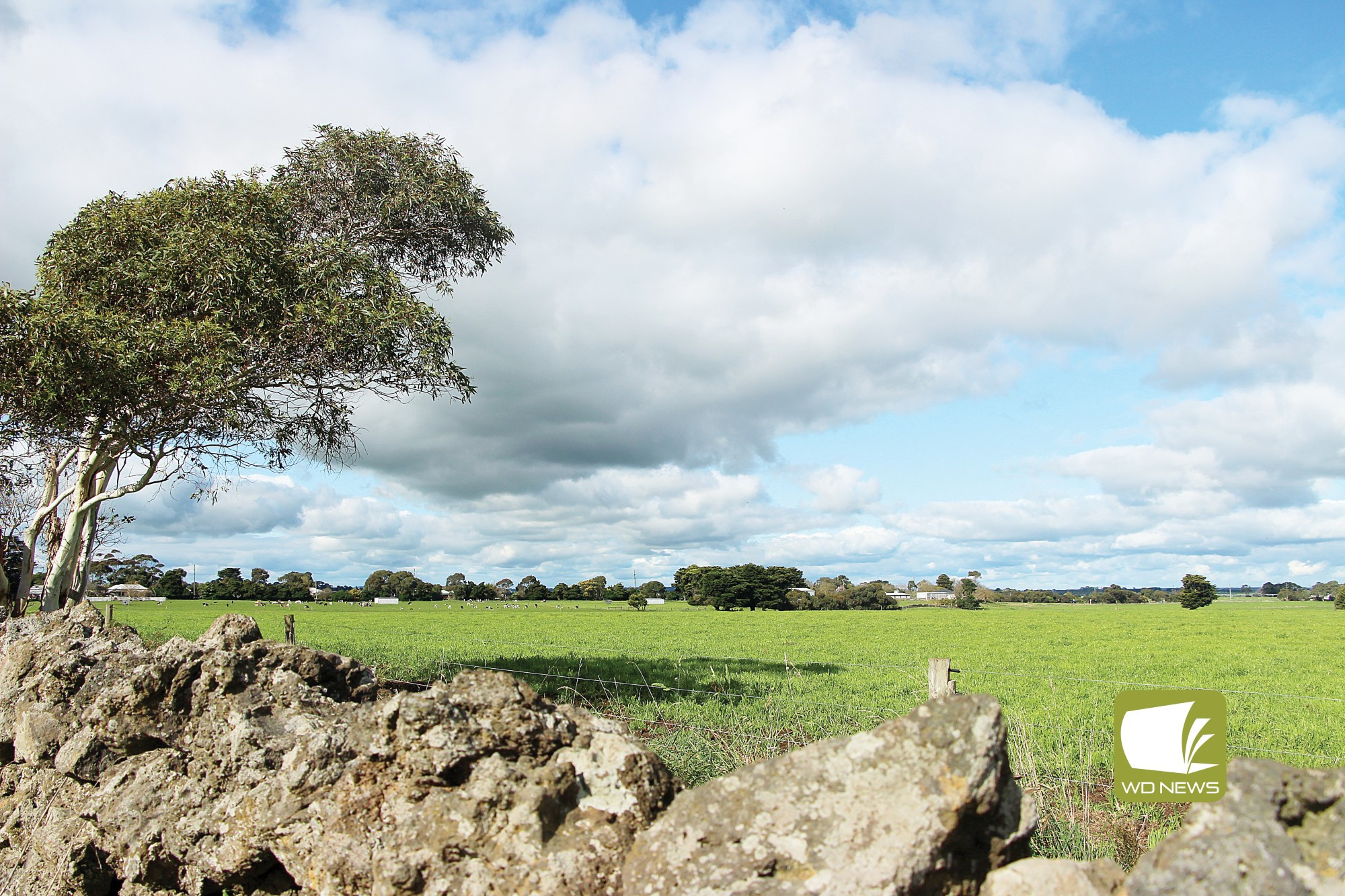 Dry July: Terang and Mortlake both experienced rainfall below the long-term average during July.