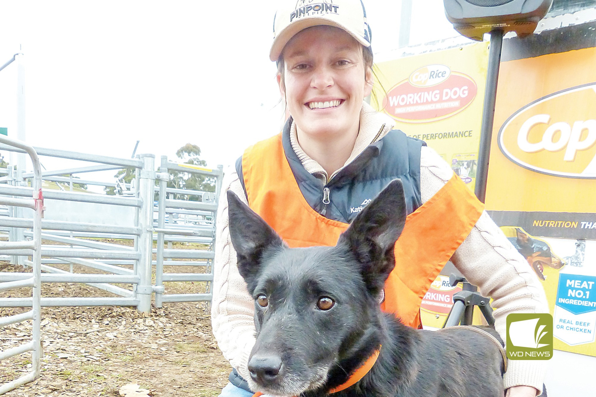 Teamwork: Mortlake’s Renae Reynolds and Hopkins River Bundy were among the locals to enjoy success at the 2023 Victorian Farm Dog Championships at Sheepvention in Hamilton this month. Photo courtesy of Lyall Grey.