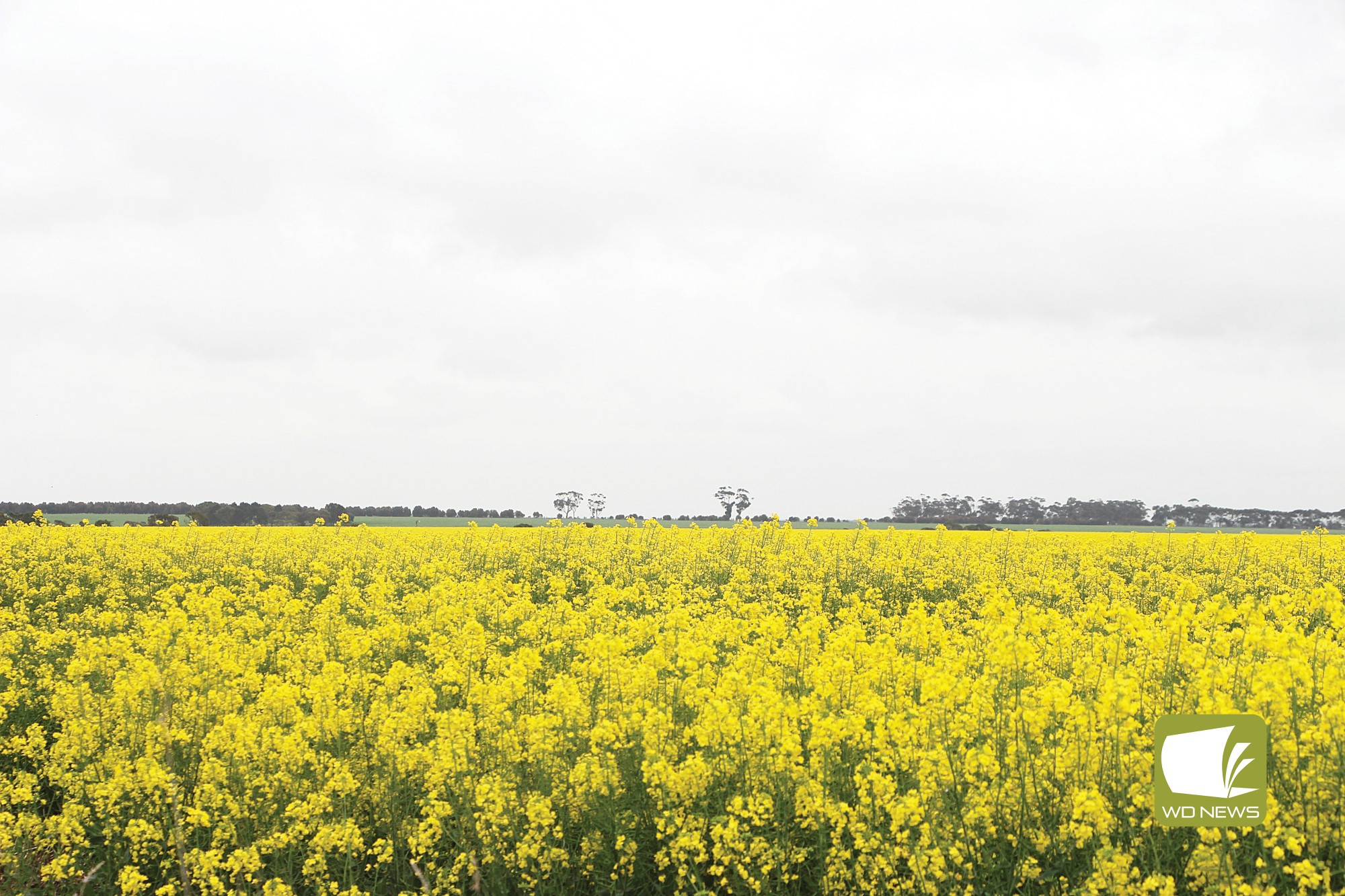 Half-way: Rainfall above the long-term average fell over Terang and Mortlake throughout June.