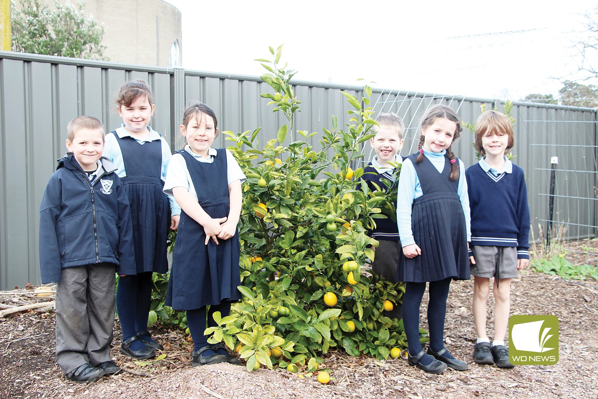 When life gives you lemons: St Thomas’ Primary School students received a funding boost towards their thriving community garden.