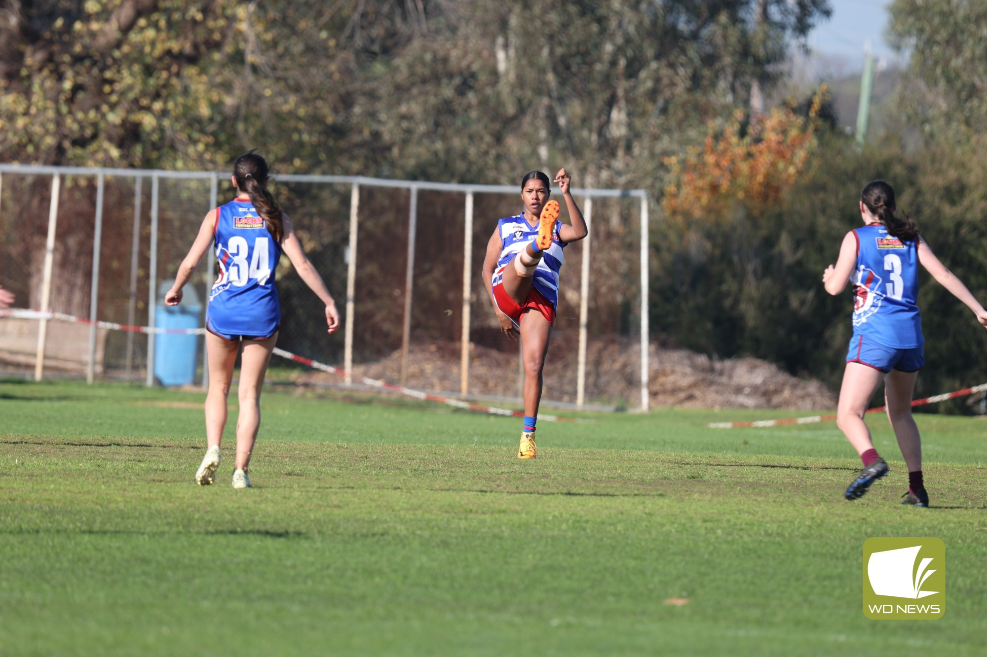 Terang Mortlake V Hamilton - feature photo