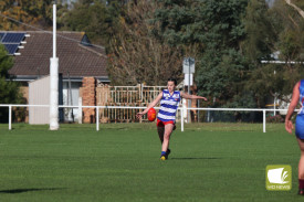 eUCRfh6bNSS75InVvBf1.jpg