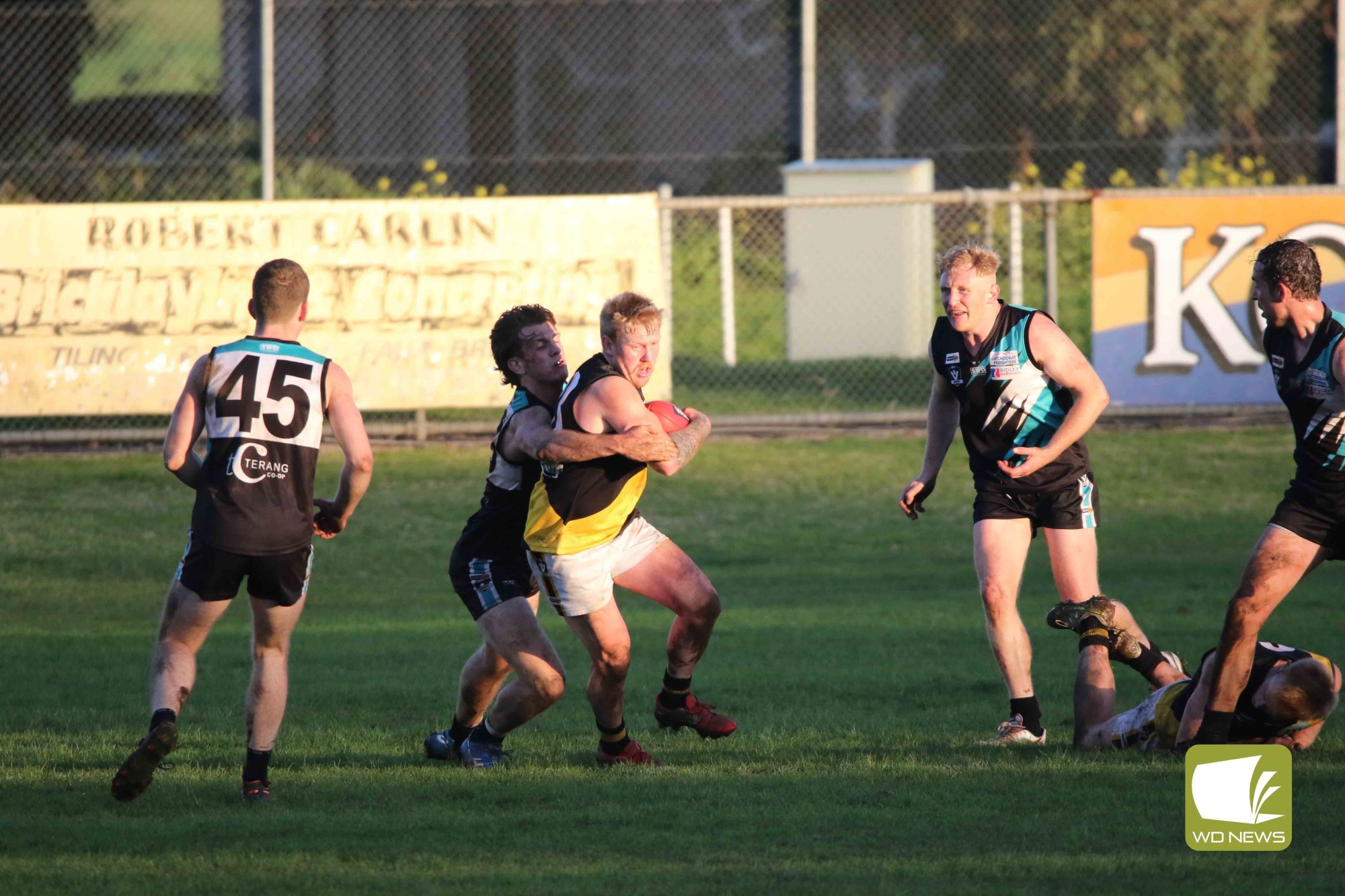 Tigers too strong - feature photo