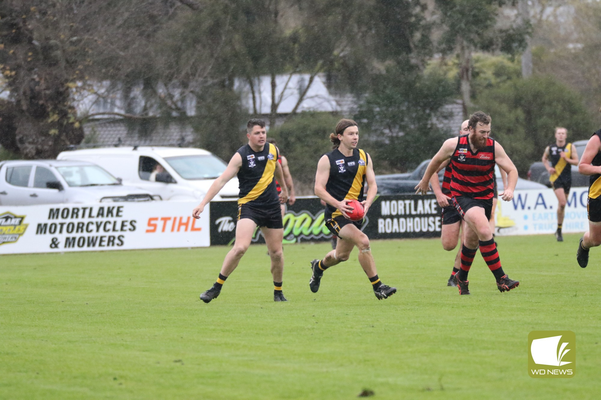 Tigers roar at Mortlake - feature photo