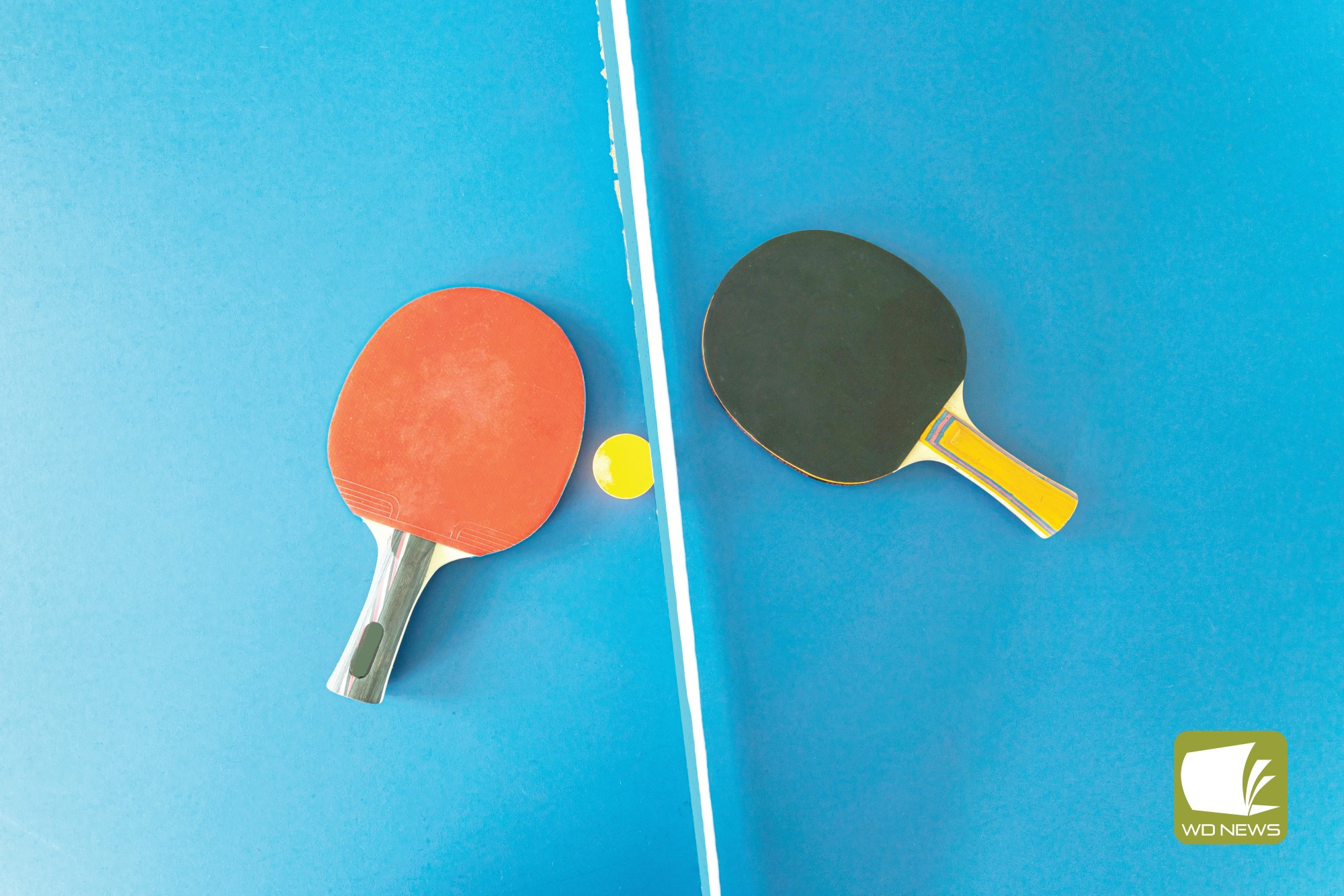 Terang table tennis - feature photo