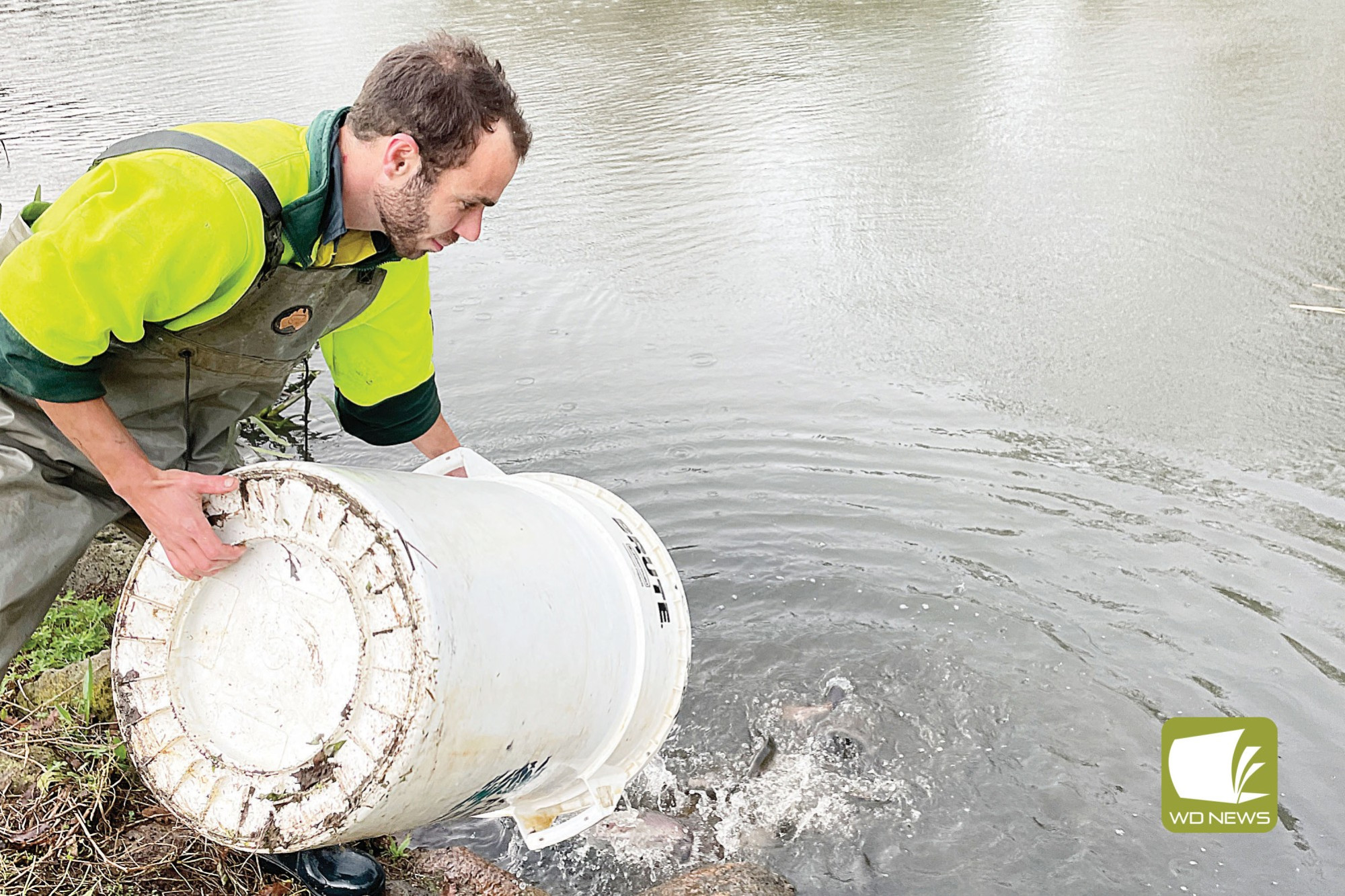 Cast a line: Mortlake’s Tea Tree Lake has been restocked with rainbow trout for the school holidays.