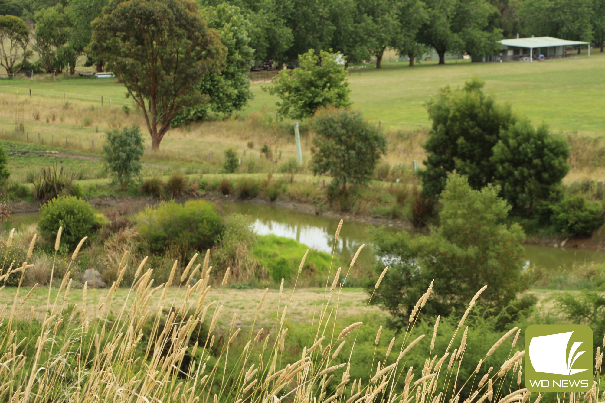 Rainfall: Terang and Mortlake experienced rainfall above the long-term average during February, capping off a summer which was consistent with long-term rainfall averages.