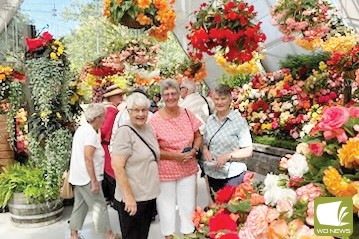 Trip to the city: Terang and District Probus Club enjoyed a trip to Ballarat last week to visit the Begonia Festival. Pictured is Dorothy Whiting, Nola Davies and Norma Attrill.