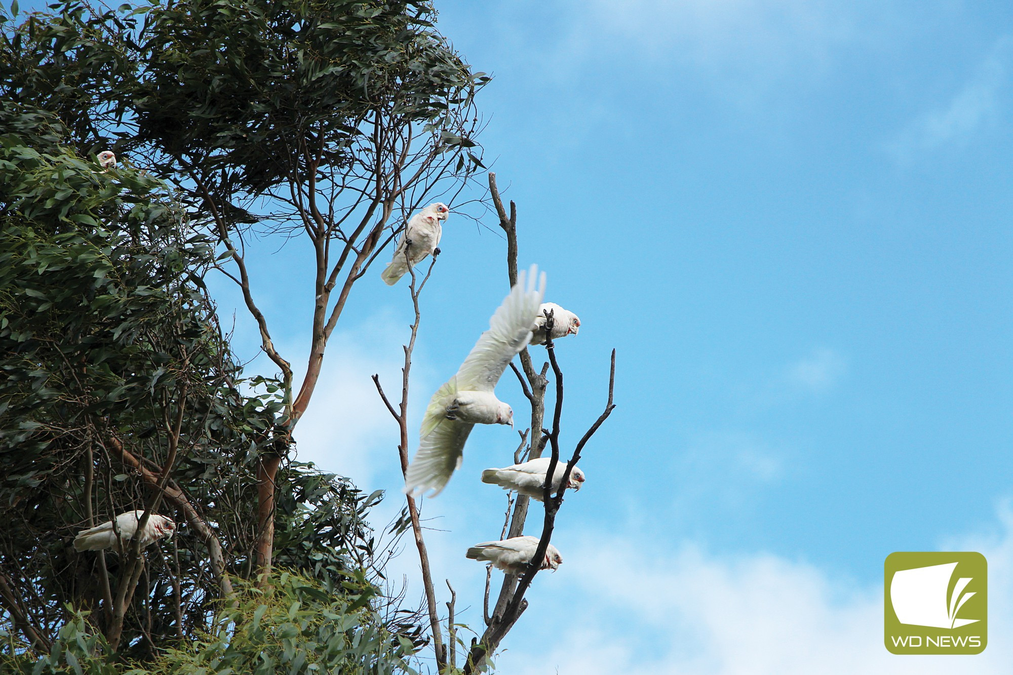 Rainfall results: Terang and Mortlake experienced rainfall above the long-term average during April, but the Bureau of Meteorology believes hotter and drier times are ahead.