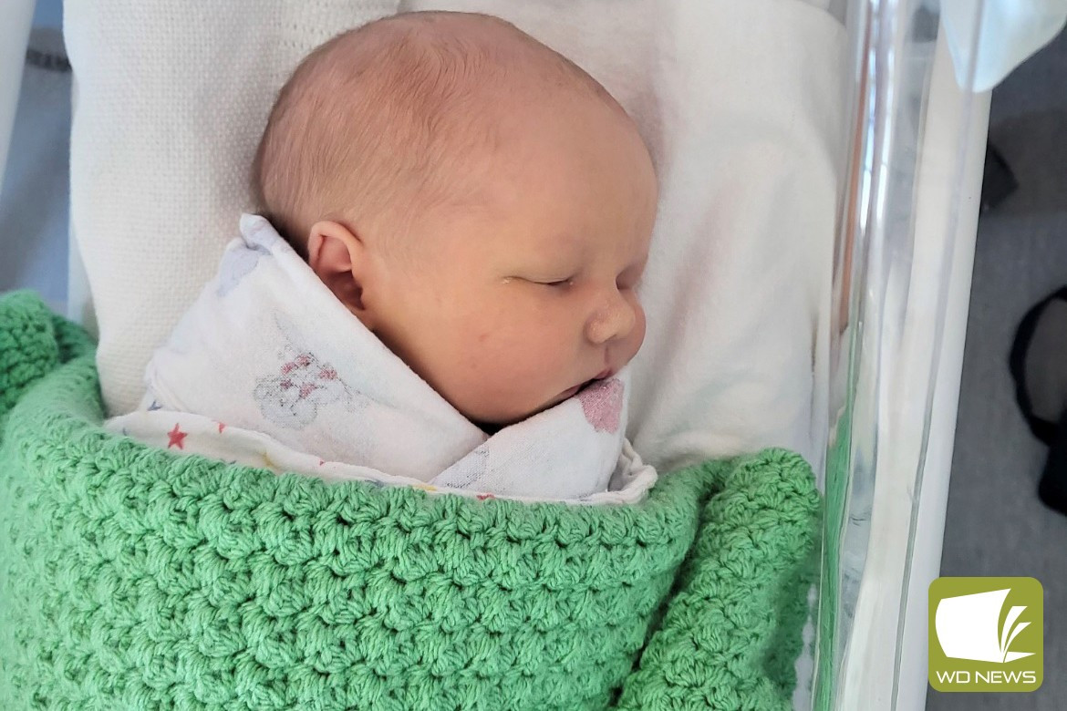 Kolora welcomes its newest resident - feature photo