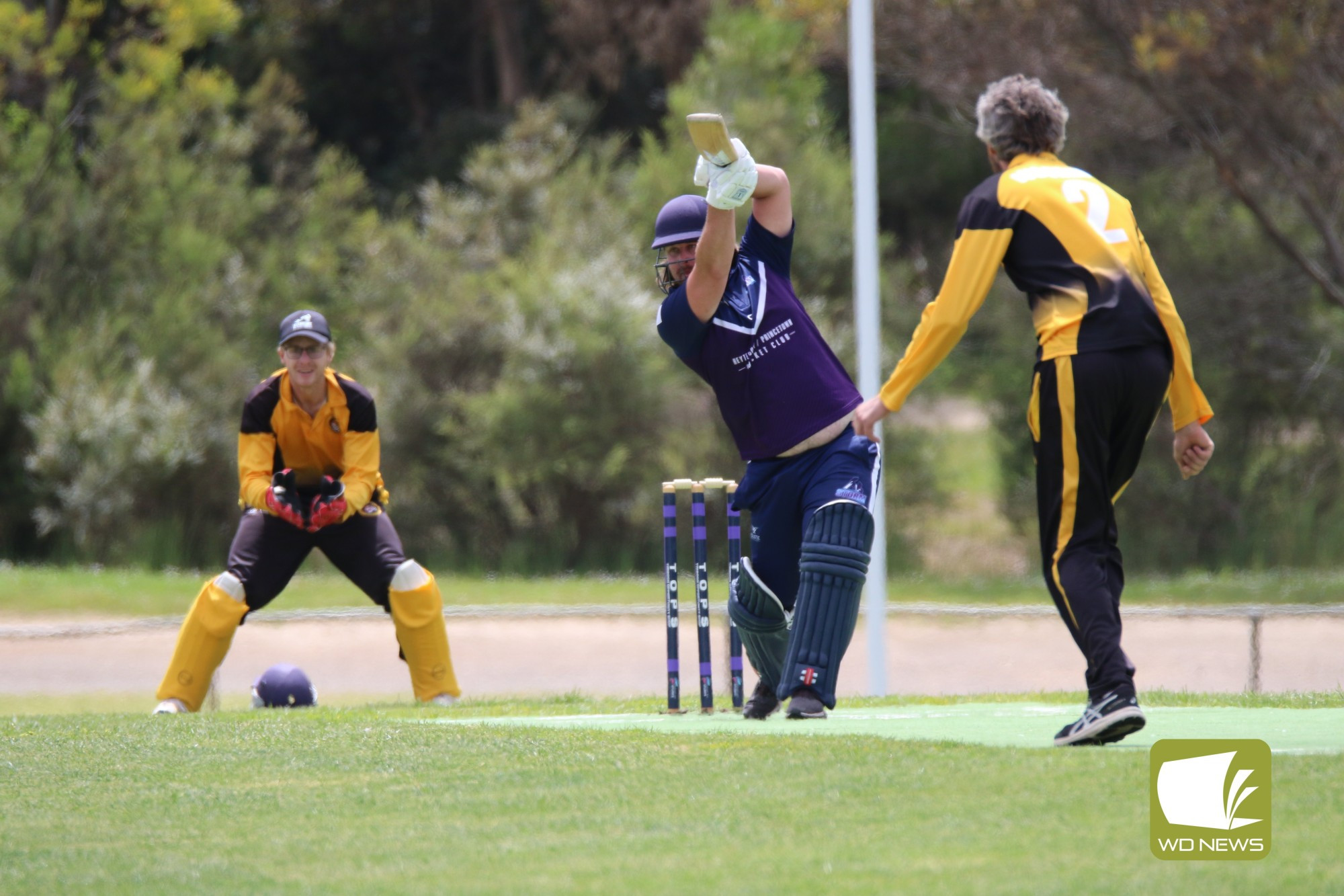 Local Cricket Action - feature photo