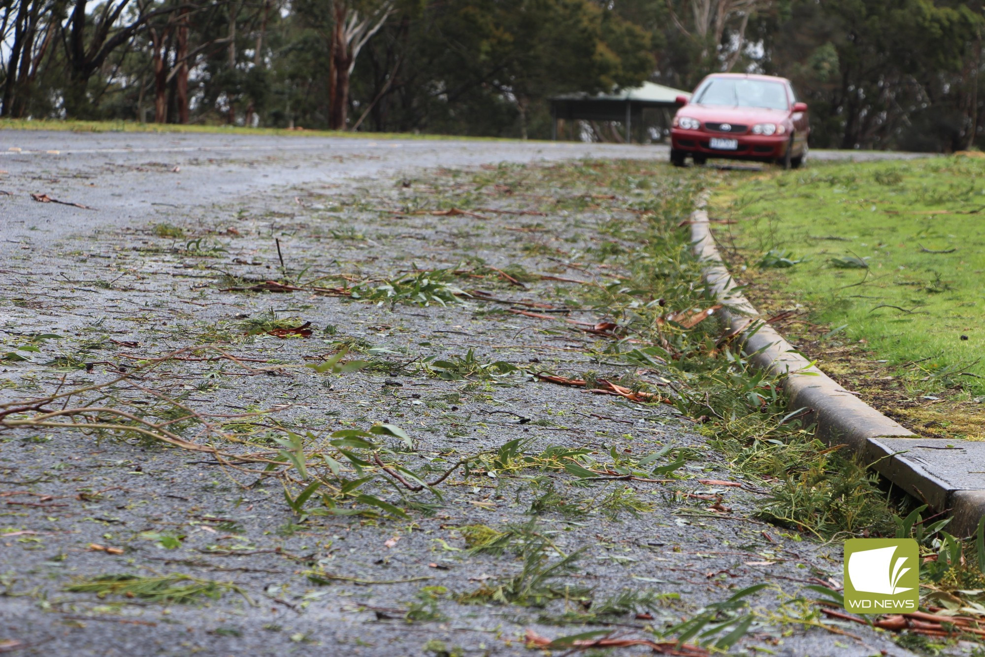 Dry weather: Low rainfall was recorded throughout September in both Terang and Mortlake despite a wild storm striking earlier in the month.