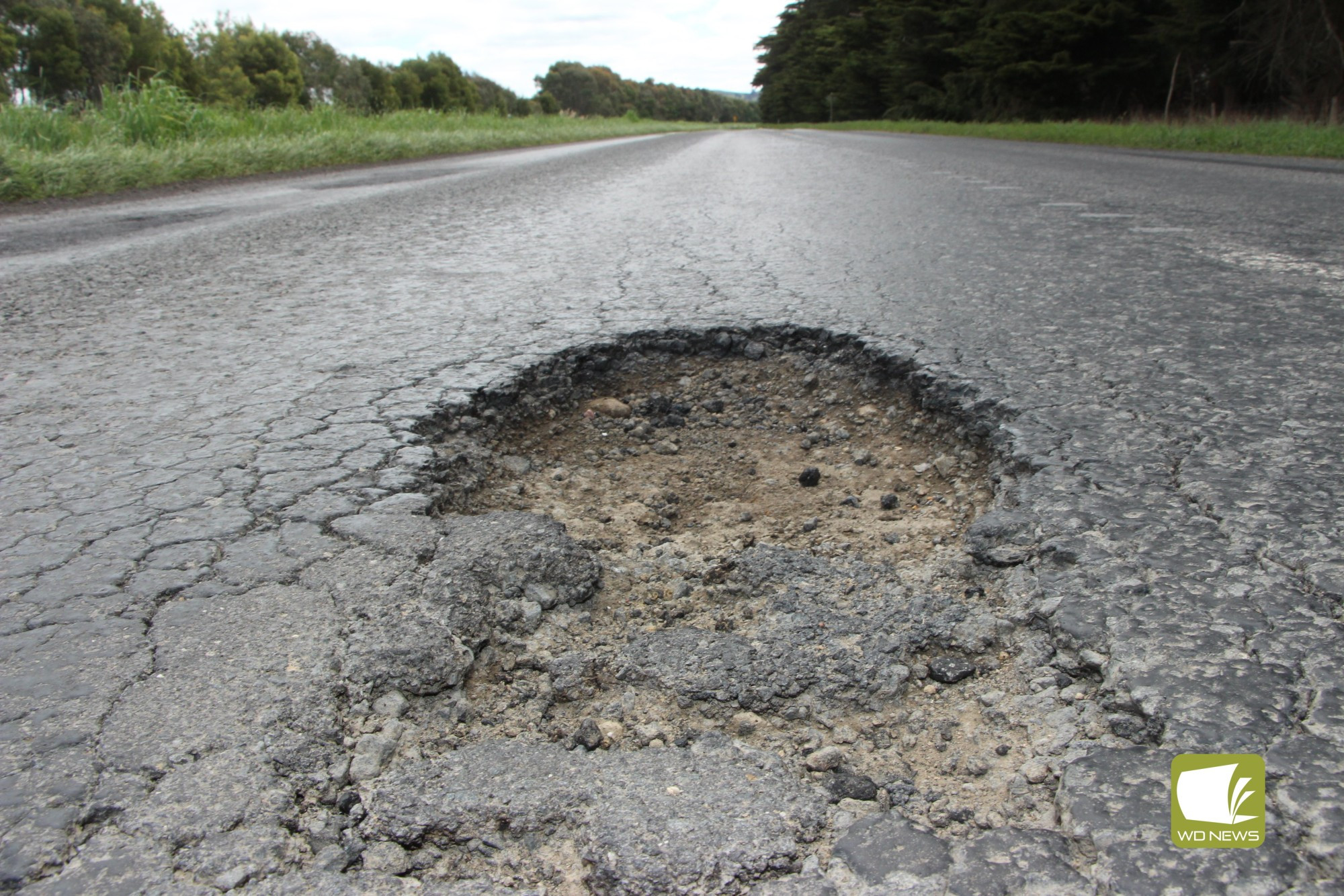 Dangerous: Mackinnons Bridge Road features dozens of potholes which are only worsening.