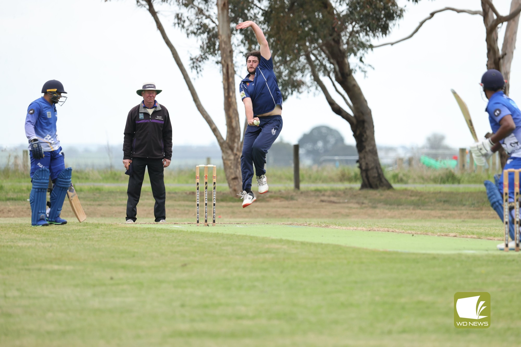 Season 2023/24-Local Cricket Action - feature photo