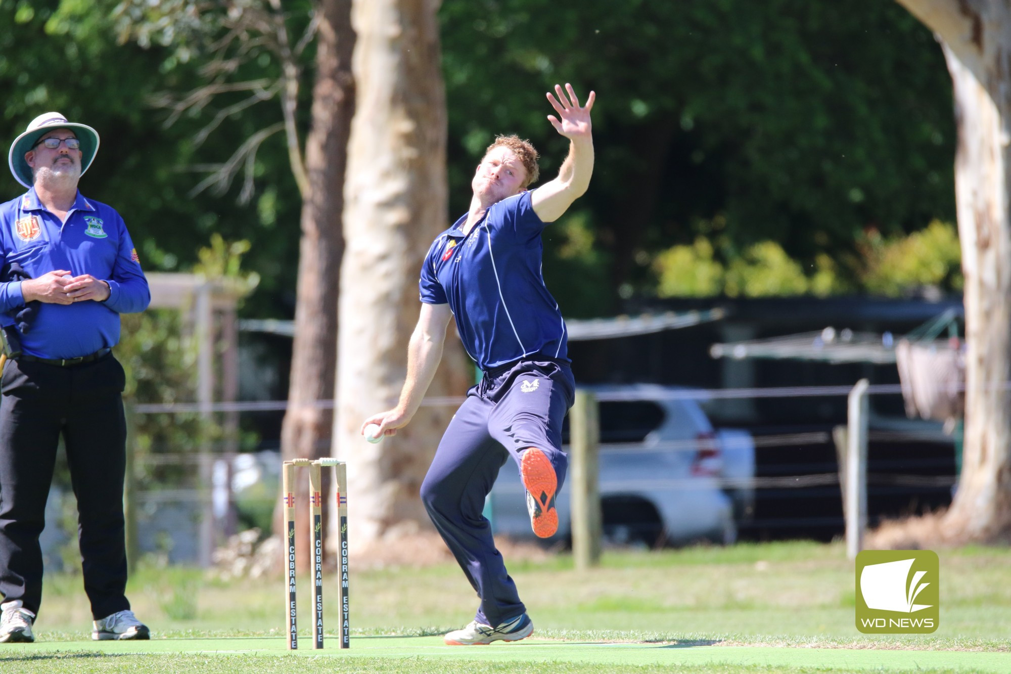 Local Cricket Action - feature photo