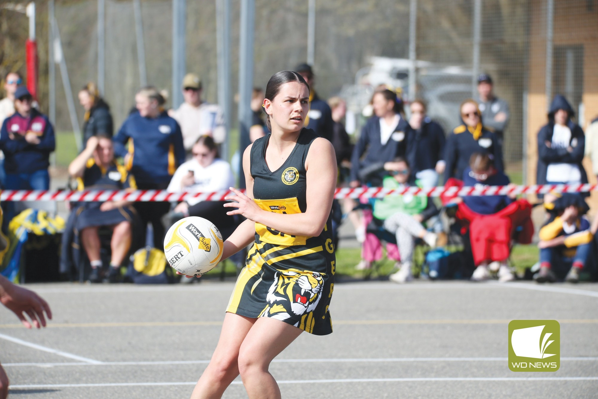 Talented goaler Tasha Killen finished runner-up best and fairest in the Mininera League for B grade.