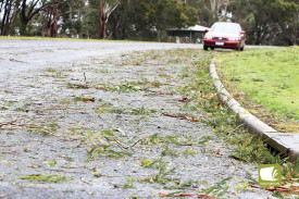 High winds: Debris was strewn across roads and properties after last Friday’s storm. 