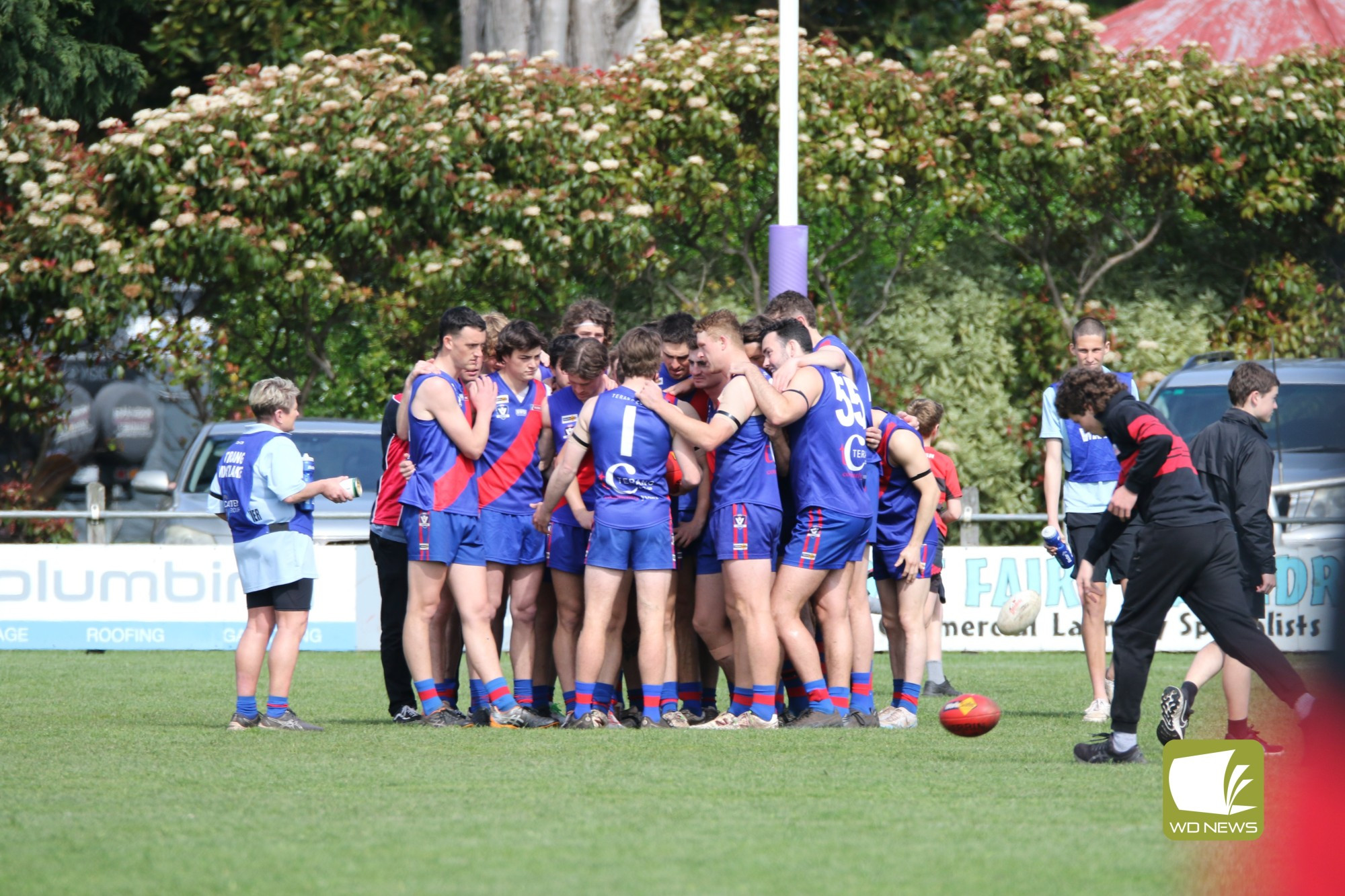 FINALS FEVER- Terang Mortlake V Cobden- SUNGOLD MILK SENIOR FOOTBALL FIRST SEMI FINAL - feature photo