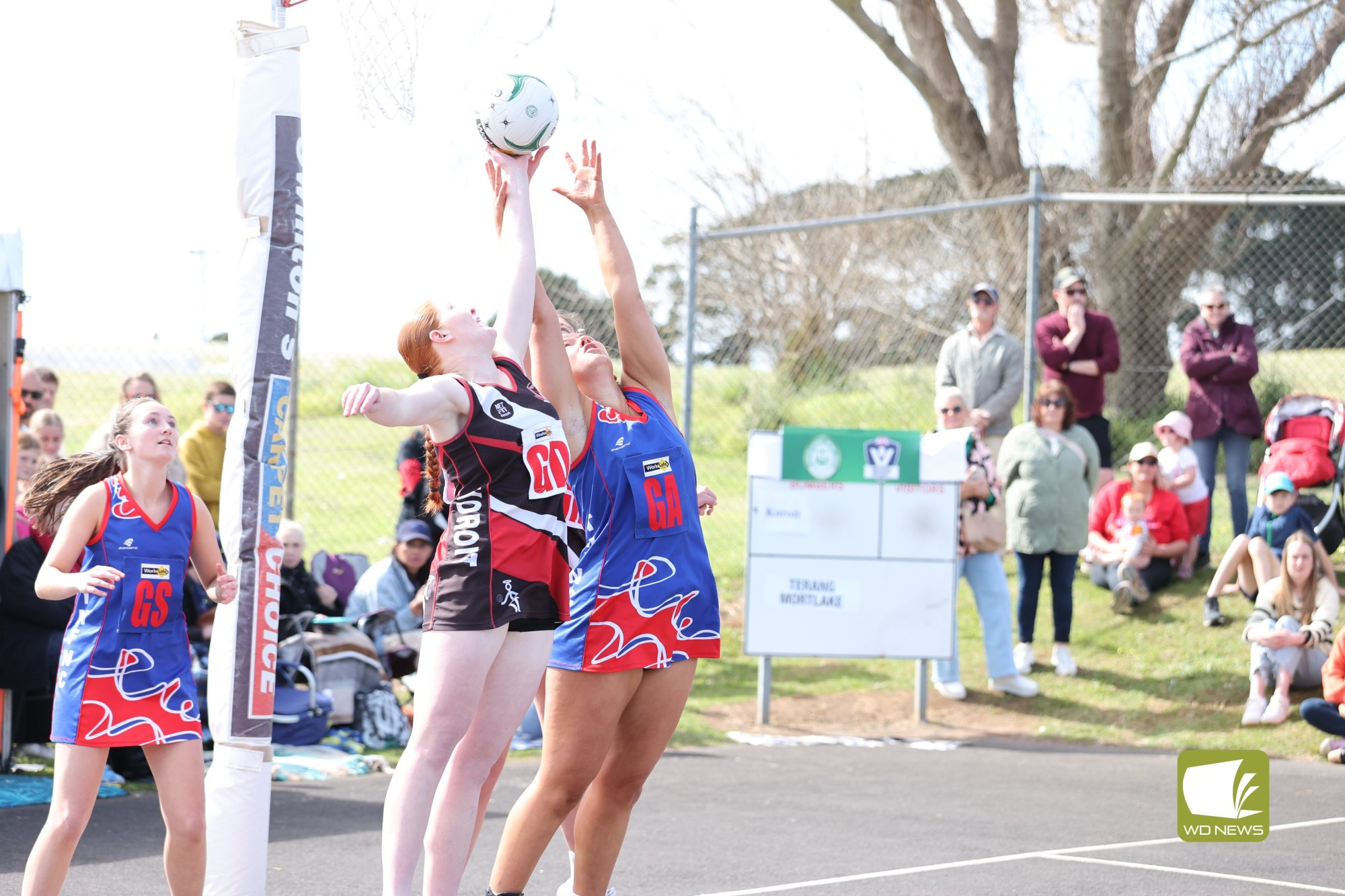 FINALS FEVER- Terang Mortlake V Koroit- 17 and Under Netball Grand final - feature photo