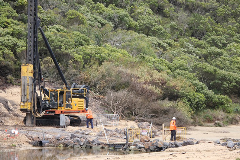 Beachside a hive of activity - feature photo