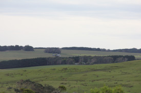 Helicopter: A Police helicopter scoured the surrounding area for the man.