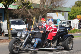 King and Queen of this year’s festival Tony “Pies” Malone and Alma MacDonald ride in style in the parade. 