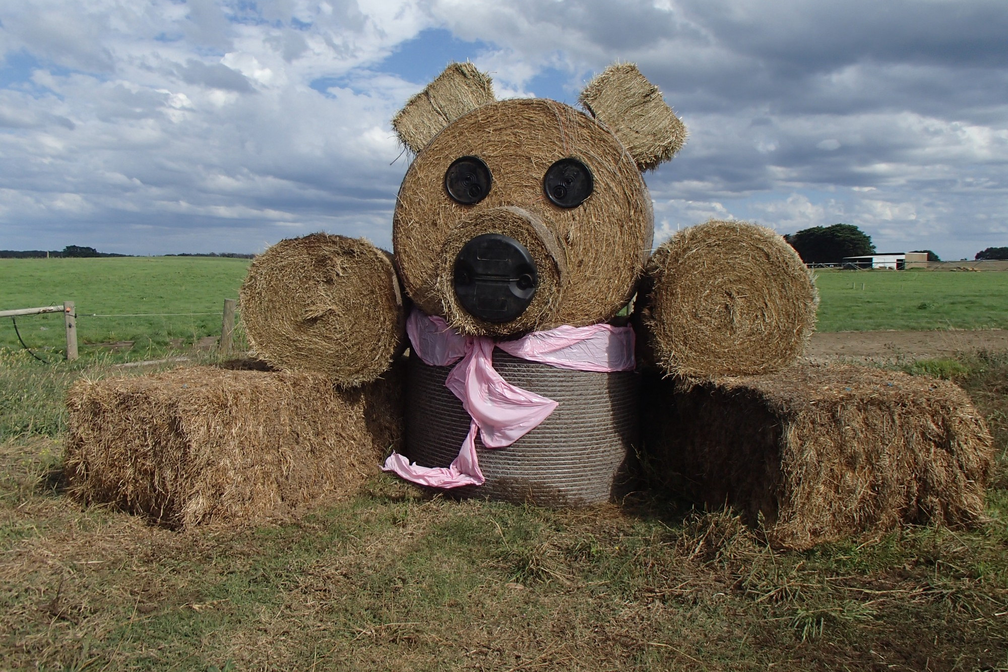 Big impact: A large bear made out of hay at a Nirranda property has joined the bear hunt phenomenon in a bid to put a smile on children’s faces.