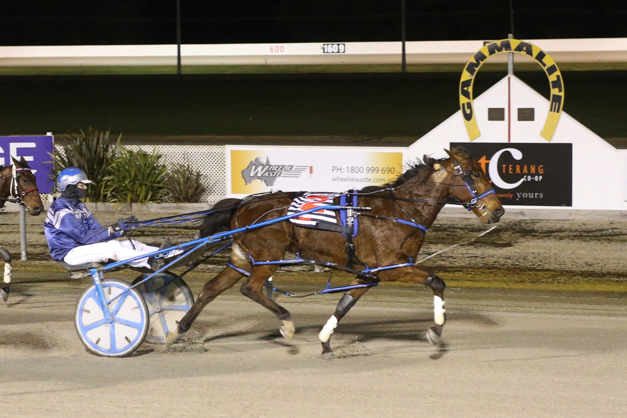 Xavier O’Connor drives Be The One to victory in the TAB Long May We Play pace at Terang last Wednesday night.