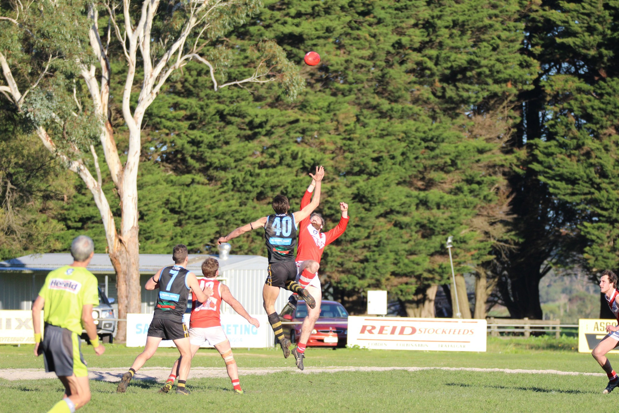 Senior footballers will not play for a premiership in the Colac and District Football Netball League this year.