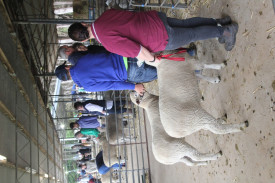 Agricultural entries were strong this year. 