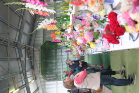 The homecraft pavilion had a wide variety of displays. 