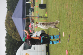Dog Mickey Mouse put on a show as part of the Flipping Disk Dogz displays on the day. 