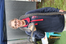 Simpson’s Tayla Ayresy has a closer look at Wednesday the inland carpet python. 