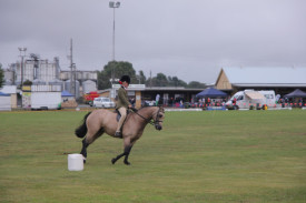 The horse classes were well attended. 
