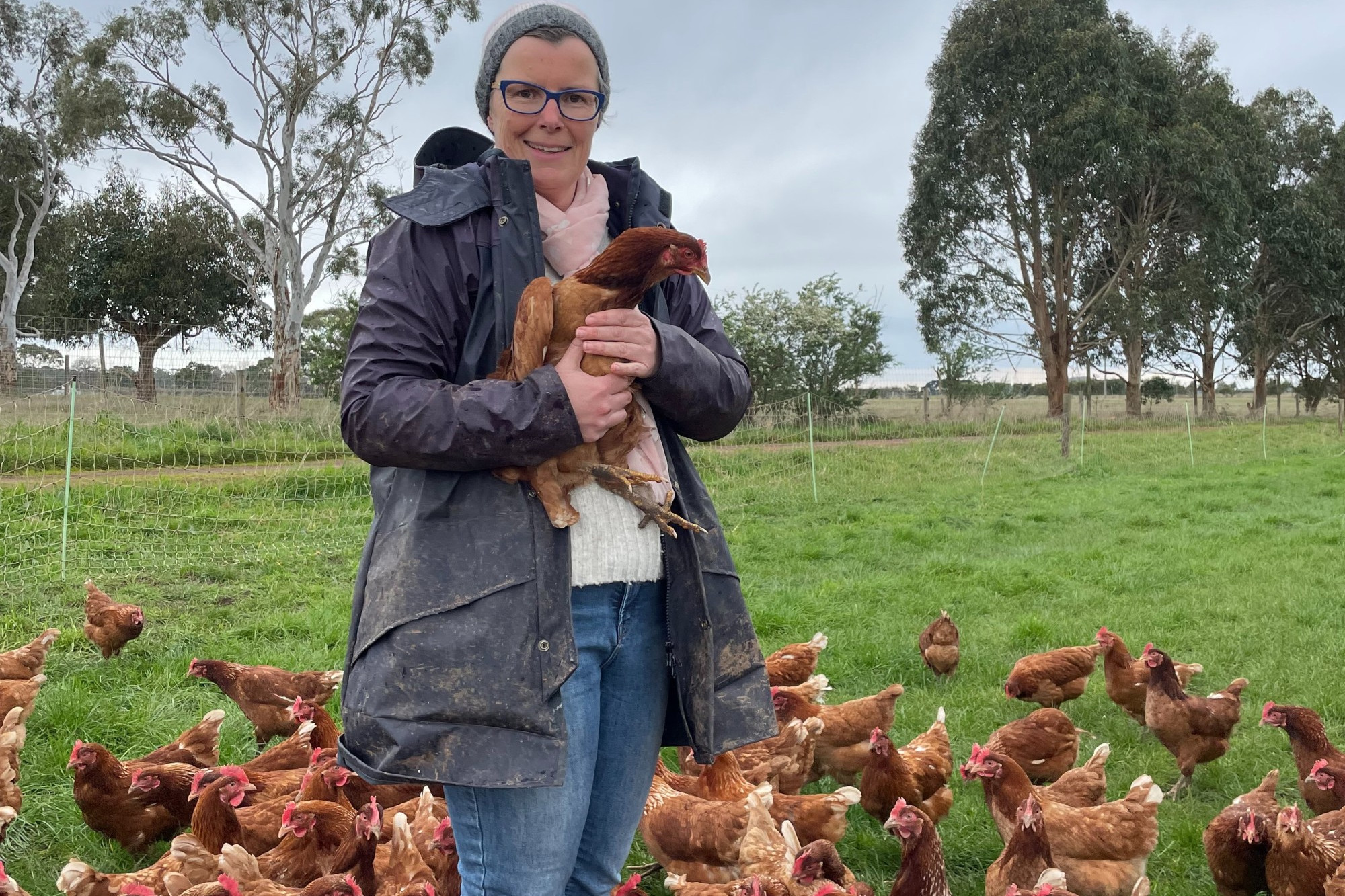 Eggs: Purrumbete Paddock Eggs owner Cath Jenkins celebrate news their business has been nominated for a Victorian award.