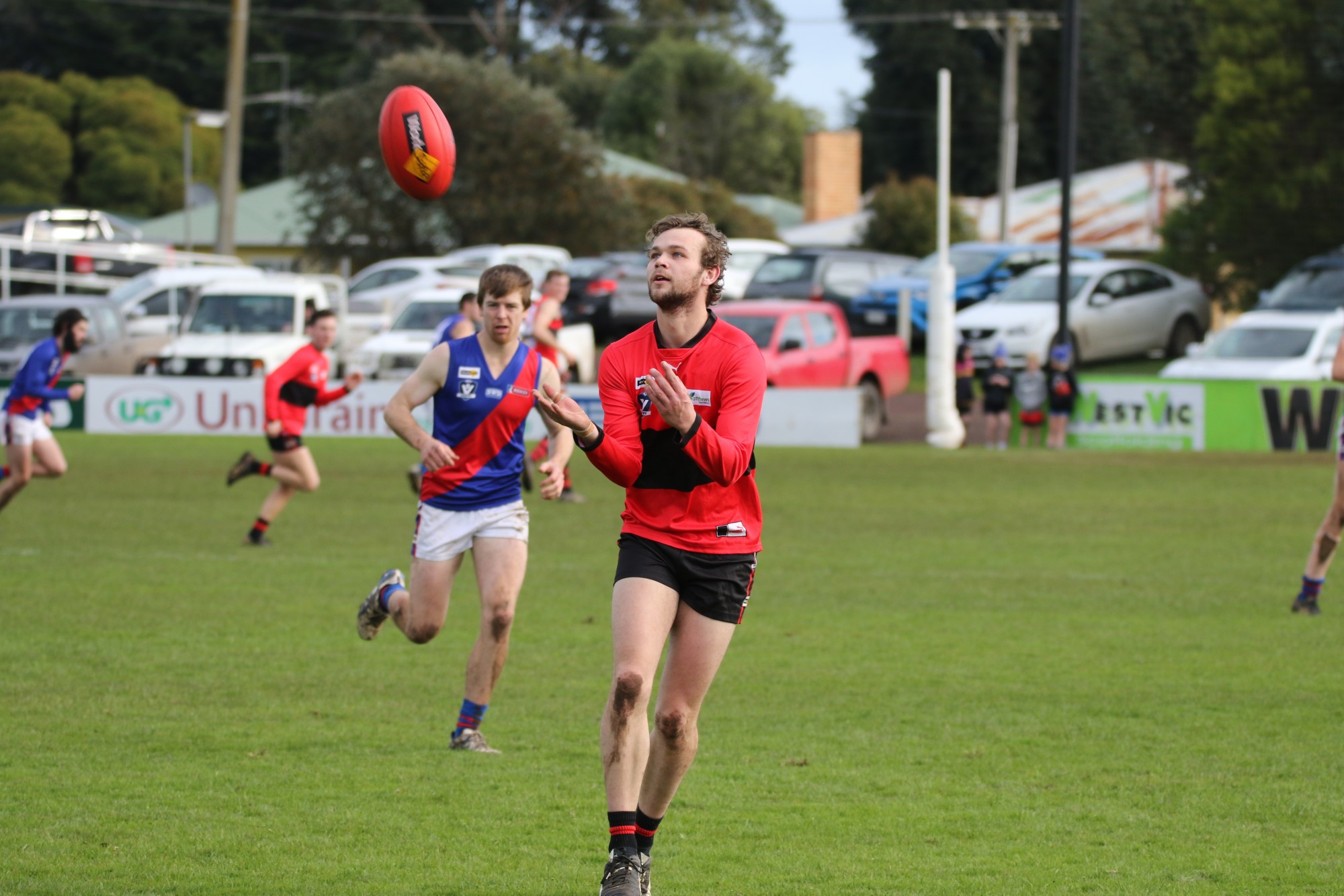 Milestone: Jesse Williamson played his 100th game for Cobden against North Warrnambool on Saturday.