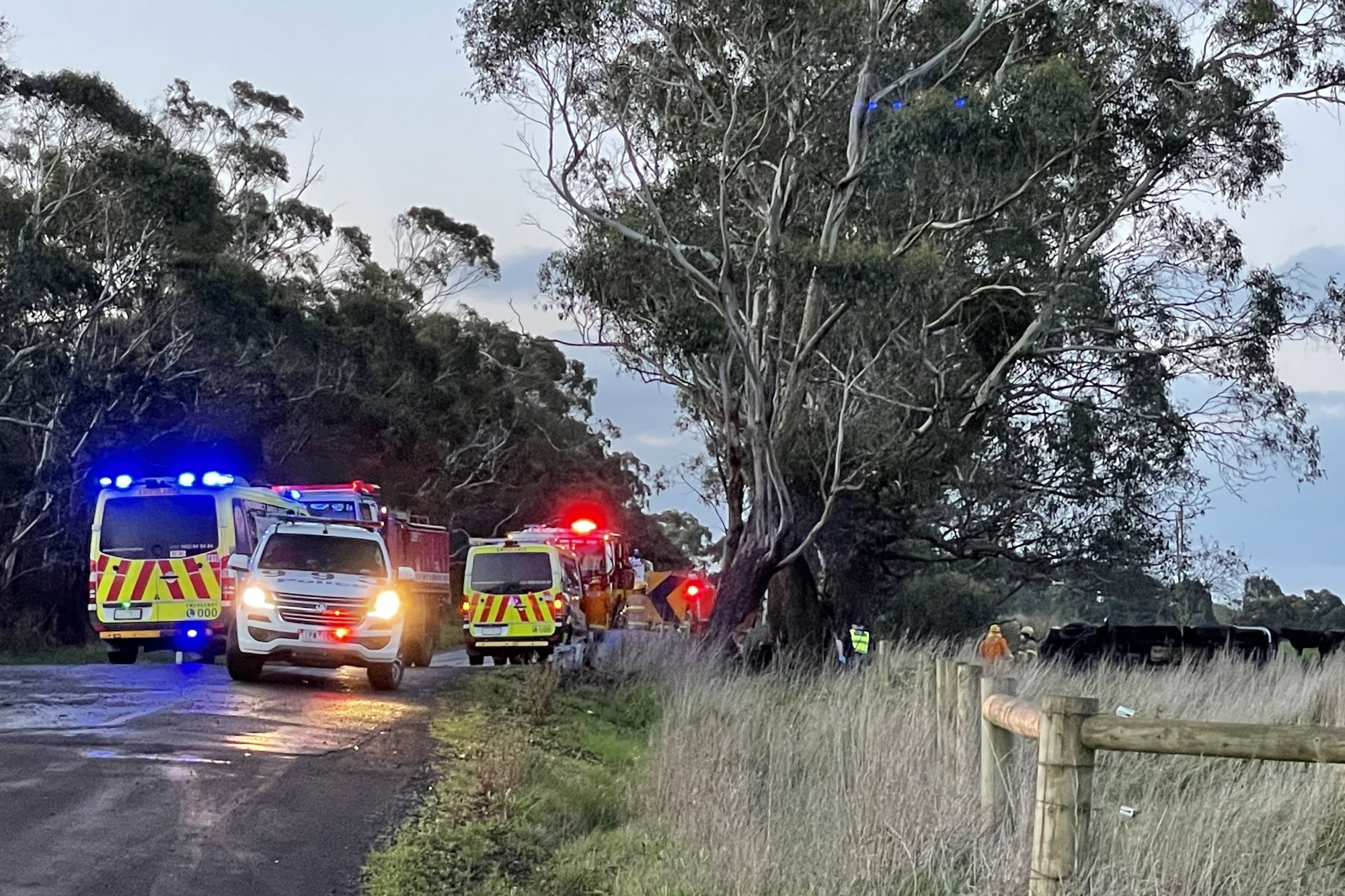 Accident: A man in his 40s narrowly avoided trees when he rolled his vehicle at Glenfyne on the weekend.