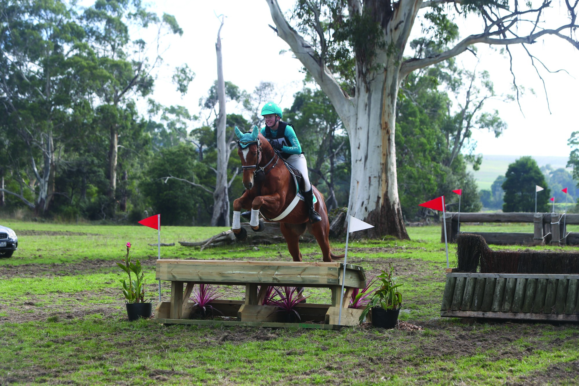 Tara Anderson riding Mister Smooth.