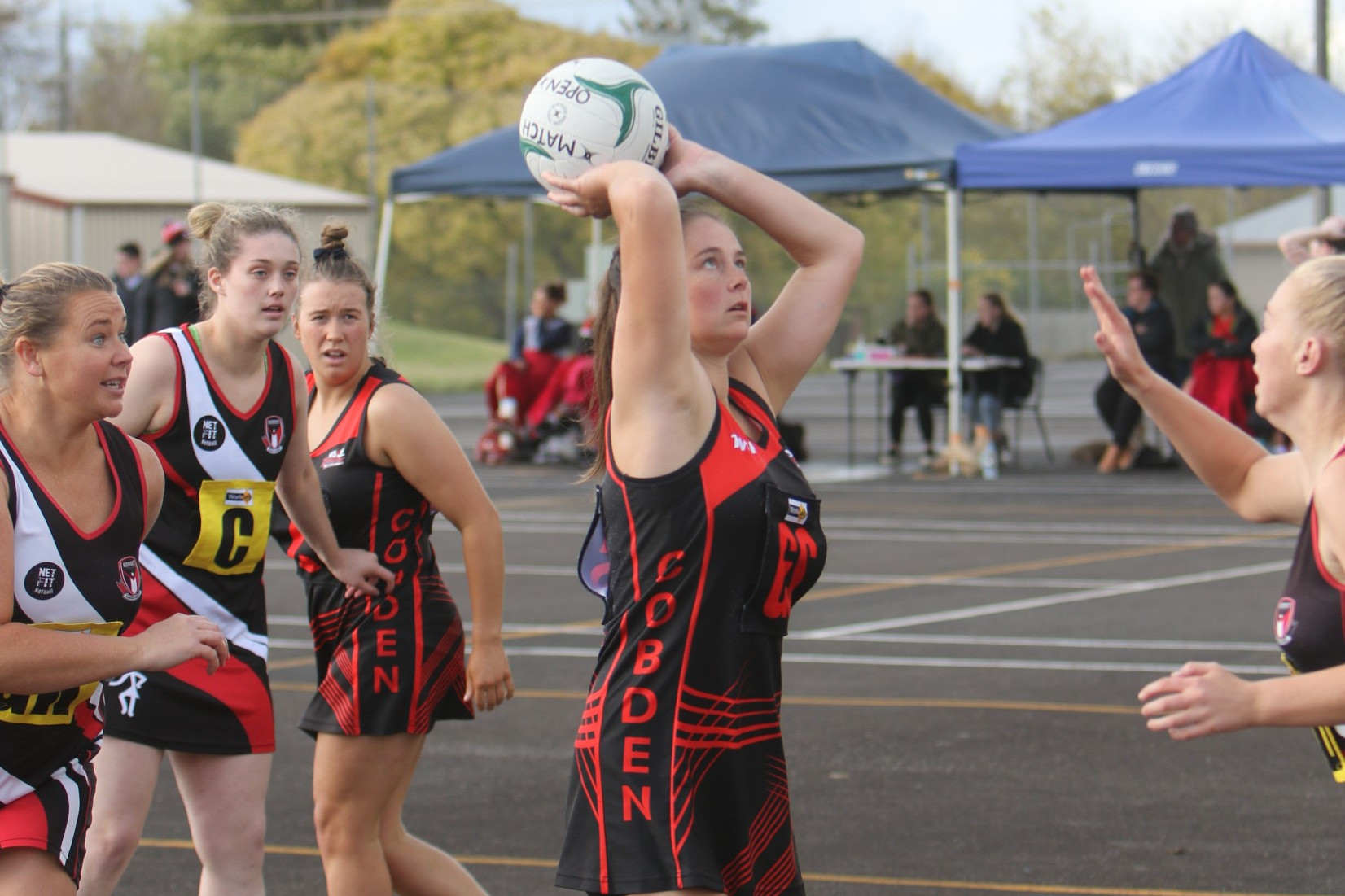 Open milestone for Finch - feature photo
