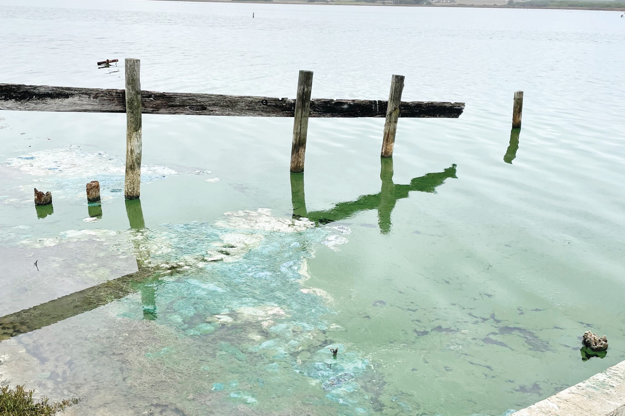Listening: EPA is conducting spot checks on farms which could potentially be impacting on the health of the Curdies River.