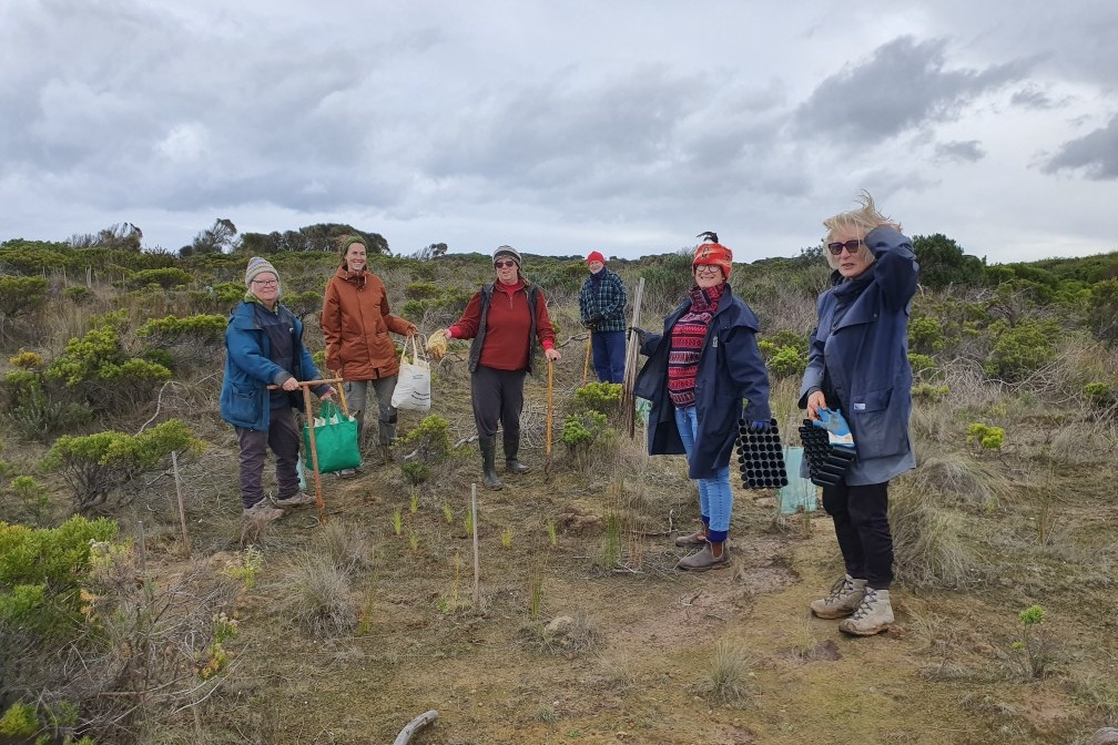 Working together: Friends of the Bay of Islands Coastal Park spent time on Sunday planting a section of Croft Bay.