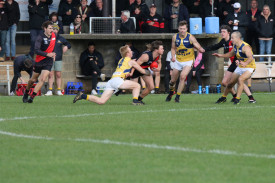 Cobden battled all day against quality opposition.